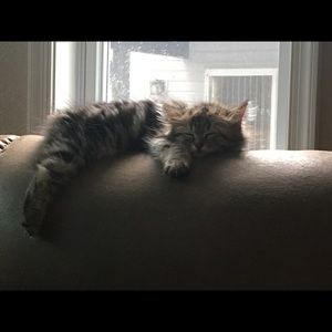 Meet your Posher, Danielle